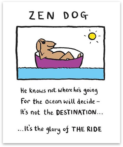 Zen dog: He knows not where he's going for the ocean will decide - it's not the destination...it's the glory of the ride.